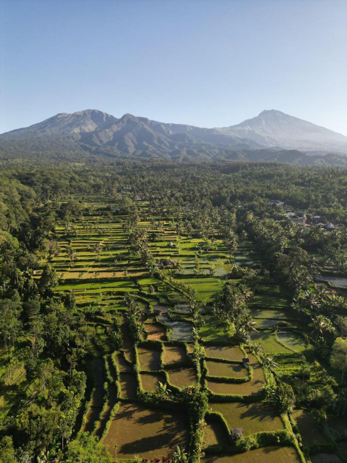 Hotel Tetebatu Fullmoon Extérieur photo