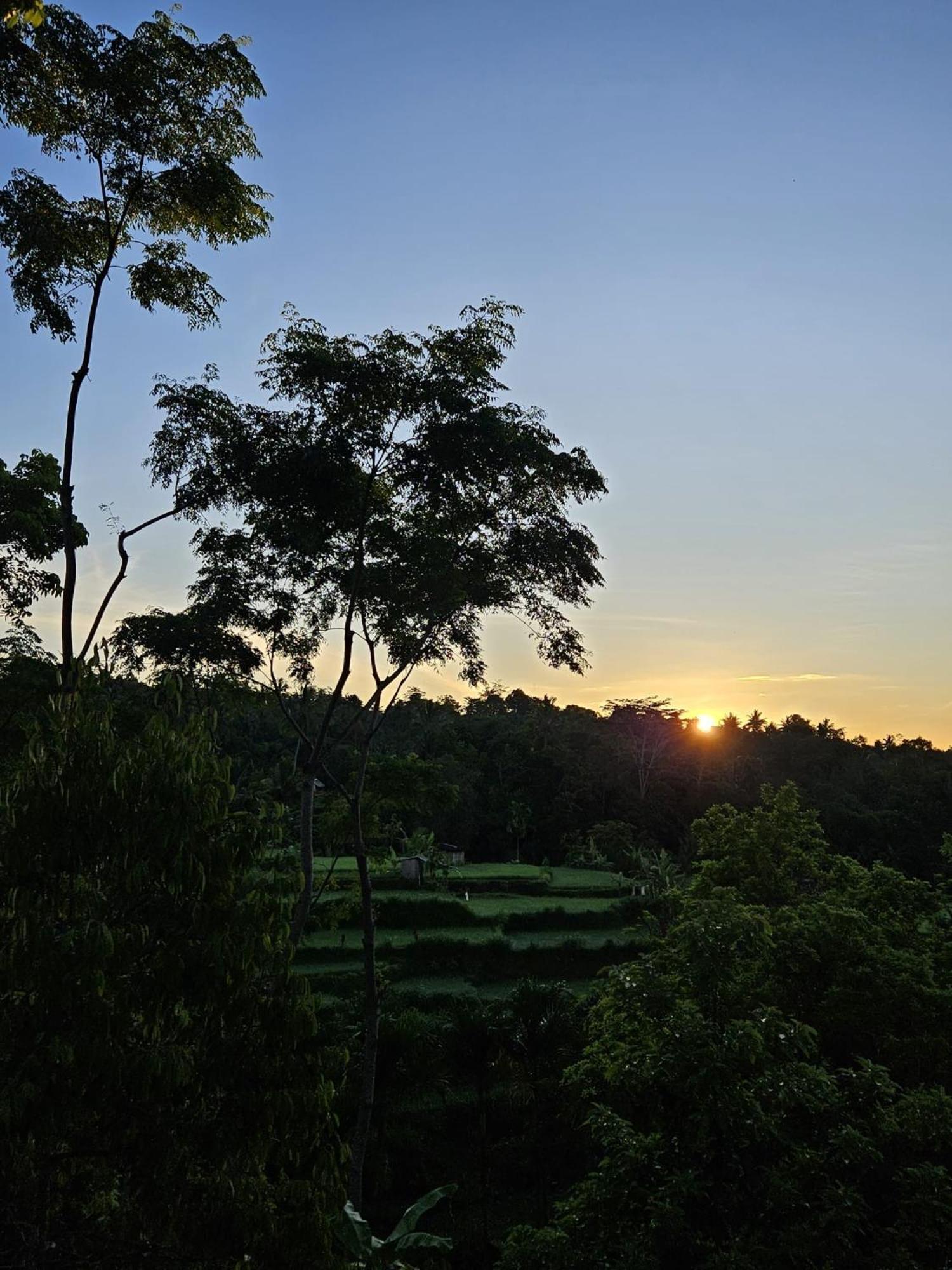 Hotel Tetebatu Fullmoon Extérieur photo