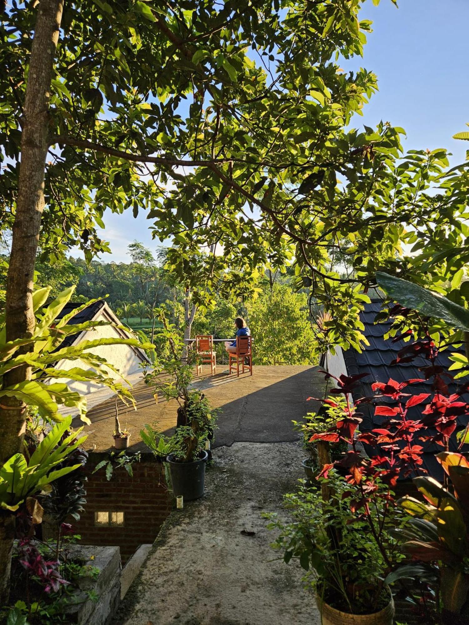Hotel Tetebatu Fullmoon Extérieur photo